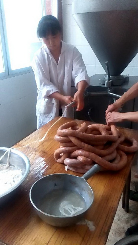 直灌2015.9